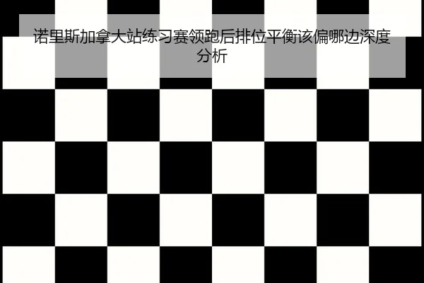 诺里斯加拿大站练习赛领跑后排位平衡该偏哪边深度分析
